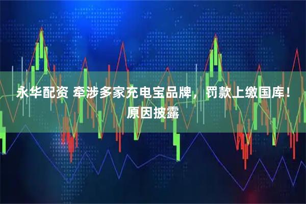 永华配资 牵涉多家充电宝品牌，罚款上缴国库！原因披露