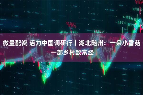 微量配资 活力中国调研行丨湖北随州：一朵小香菇 一部乡村致富经
