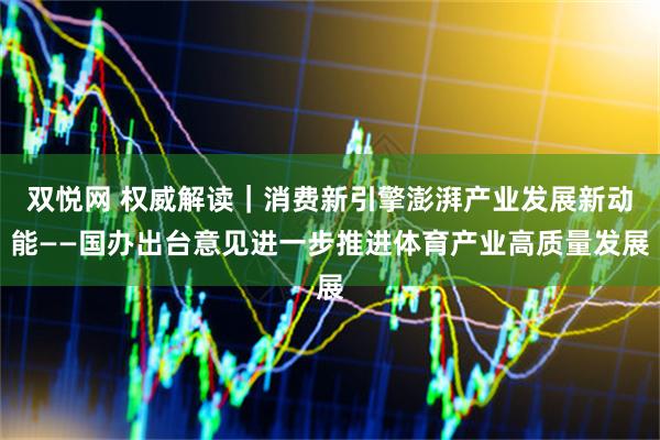 双悦网 权威解读｜消费新引擎澎湃产业发展新动能——国办出台意见进一步推进体育产业高质量发展