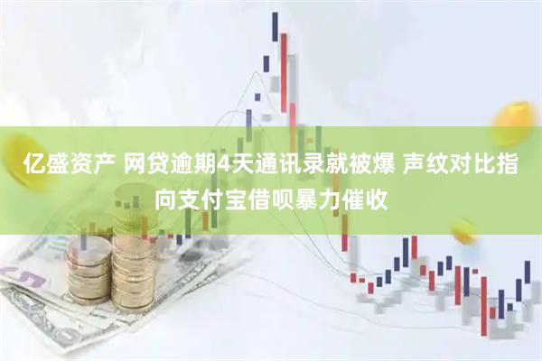 亿盛资产 网贷逾期4天通讯录就被爆 声纹对比指向支付宝借呗暴力催收